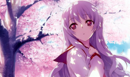 樱花.动漫,绽放青春的幻想世界